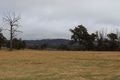 Property photo of 321 Bukeiro Road Walcha NSW 2354