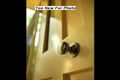 Property photo of 97 Central Avenue Oak Flats NSW 2529