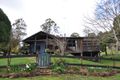 Property photo of 31 Banks Road Derby TAS 7264