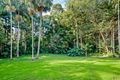 Property photo of 39 Anning Road Forest Glen QLD 4556