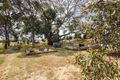 Property photo of 17-21 Ford Avenue Boston SA 5607