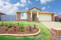 Property photo of 58 Glentree Avenue Upper Coomera QLD 4209