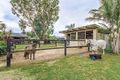 Property photo of 9 Larch Street Tallebudgera QLD 4228