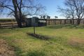Property photo of 179 Old Post Office Lane Ulmarra NSW 2462