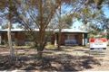 Property photo of 15 Crann Street Gillen NT 0870