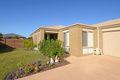 Property photo of 3 Bligh Close Urraween QLD 4655