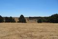Property photo of 184 Benson Road Gisborne South VIC 3437