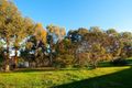 Property photo of 5 Nursery Lane Maldon VIC 3463