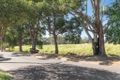 Property photo of 8 Bedford Place Rockdale NSW 2216