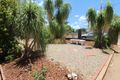 Property photo of 20 Carbine Avenue Winston QLD 4825