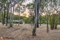 Property photo of 91 Camms Road Cawarral QLD 4702