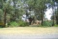 Property photo of 119 Robert Street Angus NSW 2765