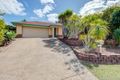 Property photo of 6 Glenview Court Underwood QLD 4119