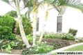 Property photo of 34 Pine Street Kirwan QLD 4817