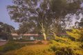 Property photo of 191 Pitman Avenue Buronga NSW 2739