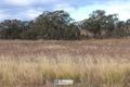 Property photo of 30 Talbragar Close Inverell NSW 2360