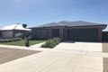 Property photo of 46 Park Avenue Echuca VIC 3564