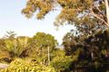 Property photo of 30 Nyes Crescent Buderim QLD 4556