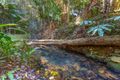 Property photo of 24 Chevell Place Smiths Creek NSW 2484