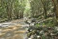 Property photo of 2 Brooks Road Eudlo QLD 4554