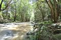 Property photo of 2 Brooks Road Eudlo QLD 4554