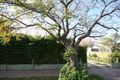 Property photo of 2A Thorngate Street Thorngate SA 5082