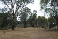 Property photo of 250 Banumum Road Mansfield VIC 3722