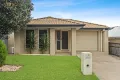 Property photo of 12 Caraway Street Springfield Lakes QLD 4300