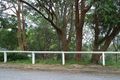 Property photo of 24 Sheridan Avenue Adamstown Heights NSW 2289