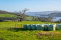 Property photo of 1 Winns Road Cygnet TAS 7112