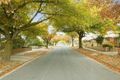 Property photo of 7 Devon Street Box Hill South VIC 3128