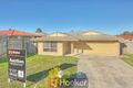 Property photo of 40 Moffatt Road Waterford West QLD 4133