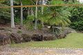 Property photo of 7 Elanal Court Cornubia QLD 4130