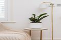 Property photo of 19 Lucy Street Ashfield NSW 2131