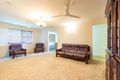 Property photo of 29 Hillside Terrace Mount Pleasant QLD 4740