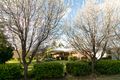 Property photo of 52 Stafford Drive Narrabri NSW 2390
