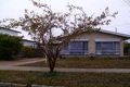 Property photo of 23 Mathoura Street Horsham VIC 3400