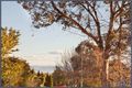 Property photo of 118 Ashkanasy Crescent Evatt ACT 2617