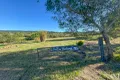 Property photo of 110 Keates Road Ashwell QLD 4340