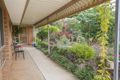 Property photo of 12 Tower Court Buronga NSW 2739