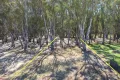 Property photo of 19 Armstrong Drive Barham NSW 2732