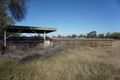 Property photo of 57 Mallee Street Wyalong NSW 2671
