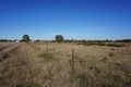 Property photo of 57 Mallee Street Wyalong NSW 2671