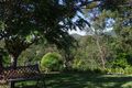 Property photo of 171 Herron Road Cedar Creek QLD 4520