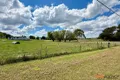 Property photo of Hensleigh Street Delegate NSW 2633