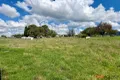 Property photo of Hensleigh Street Delegate NSW 2633