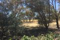 Property photo of 8 First Street Napperby SA 5540