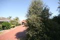 Property photo of 1/2A Mitchell Street Glengowrie SA 5044