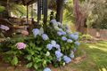 Property photo of 33 Old Warburton Road Warburton VIC 3799
