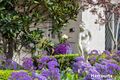 Property photo of 15 Iris Close Mulgrave VIC 3170